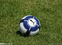 真人官方平,产品,BG真人官方平台,BG真人视讯,BG真人,(Sports),BG视讯官网,BG真人官方平台