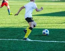 独家揭秘,期双色球神,准预测,BG真人视讯,BG真人,(Sports),BG视讯官网,BG真人官方平台