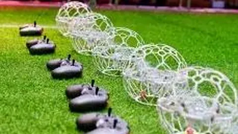 BG真人官方平台 产品 131354 rrh