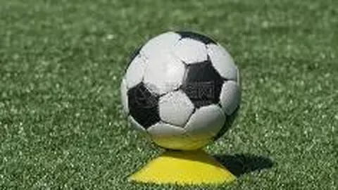 BG真人官方平台 产品 131652 q7e