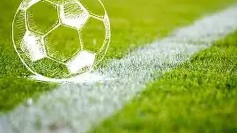 BG真人官方平台 资讯 131718 lec