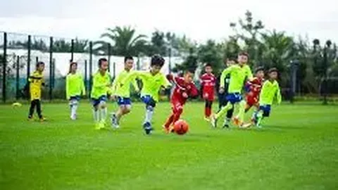 BG真人官方平台 产品 110104 wkx